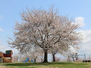 五輪坂アルカディア公園の写真1