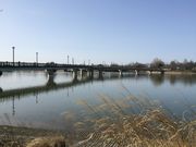 砂沼広域公園の写真1