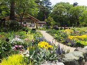 狭山丘陵の都立公園「狭山公園」の写真1
