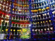 チューリップ四季彩館の写真2