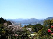 大曽根公園(世界の椿園)の写真2