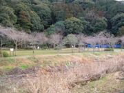 谷川ホタル公園の写真1
