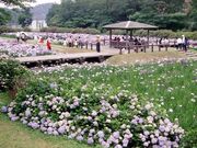 池田池公園の写真1