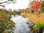 ひょこたん池公園の写真1