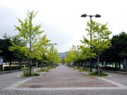 砥部町陶街道ゆとり公園の写真1