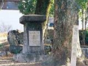 西浜公園の写真2