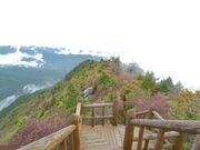 鳥形山森林植物公園の写真1