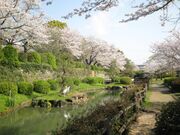 旭ケ岡公園の写真1