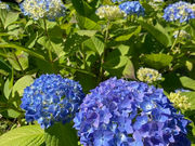 高取山公園の写真2