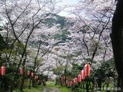 白坂公園の写真1
