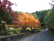 白磁ケ丘公園の写真1