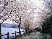 浦田自然公園の写真1