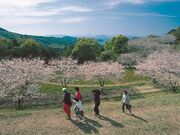 花の森公園の写真1
