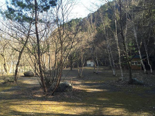 奥秋テント村