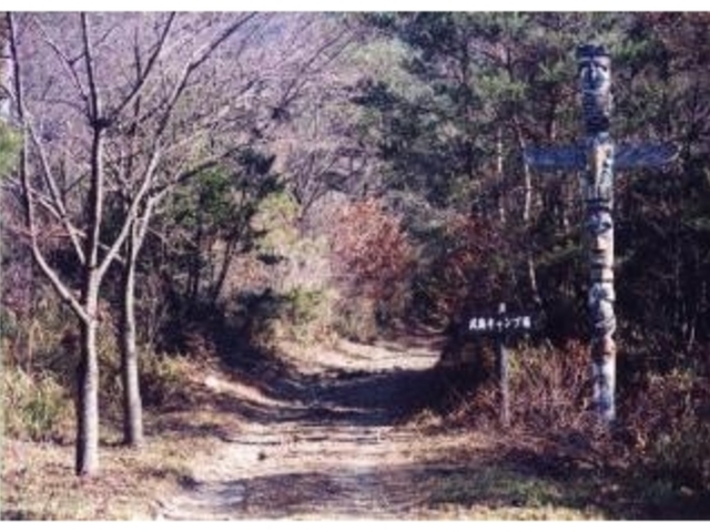 武嶋キャンプ場の写真1