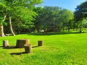 百人浜オートキャンプ場の写真3