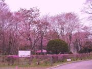 釧路市音別町憩いの森の写真2