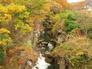 たびのCAMPINGBASE秋保木の家ロッジ村の写真3