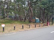 西浜キャンプ場の写真2