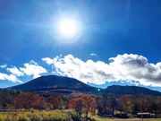 ASAMAparkFieldの写真4