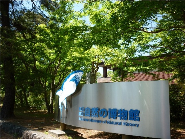 相向かいの埼玉県立自然の博物館_長瀞・養浩亭