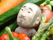 コバチの写真1