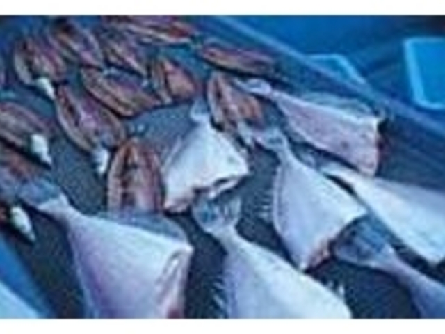 港のすぐそばならではの、新鮮な魚介類_銚子漁協直販所