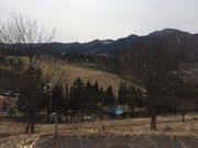 名川チェリリン村龍神タワーの写真3