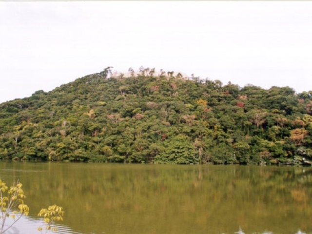 富岡城二の丸公園の写真1