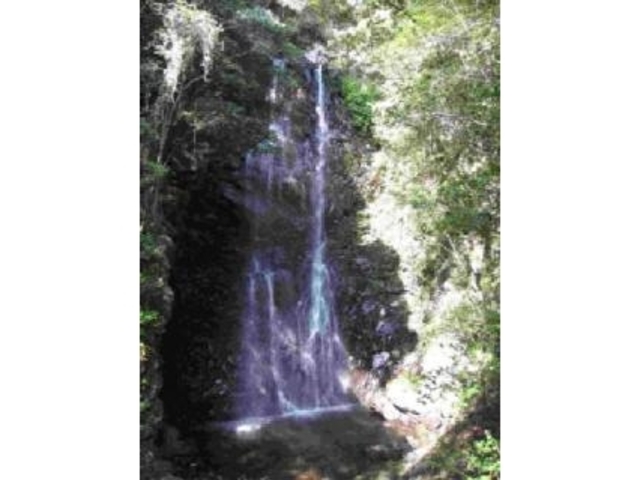 滝内渓谷の写真1