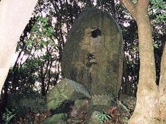 竪石の写真1