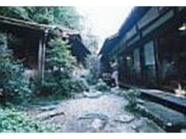 桃山様式の半地上式穴窯のある美しい庭園_幸兵衛窯