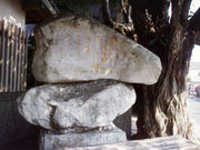 林芙美子 文学碑の写真1