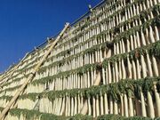 大根干しの写真1