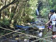 篠原みょうと滝の写真3