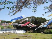 湯之尾滝の写真2