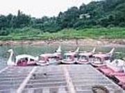 阿木川湖パターゴルフ場の写真2