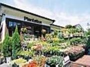Plantationの写真1