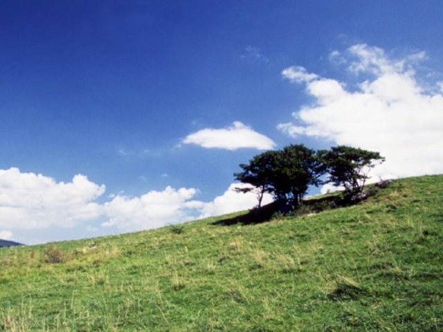 和山牧場