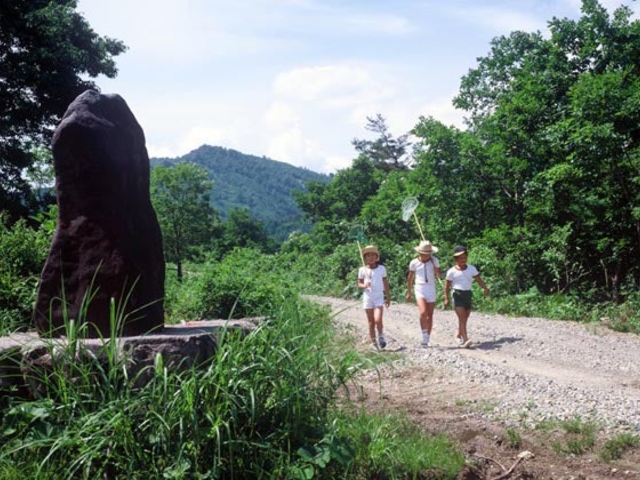 正岡子規句碑「蜩や夕日の星は見えながら」の写真1