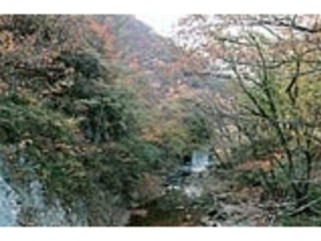 北太郎の紅葉の写真1