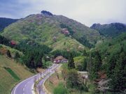 鹿狼山の山桜の写真1