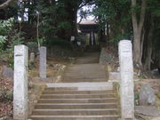 西明寺の椎林叢の写真1