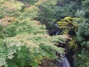 はかま滝の写真1