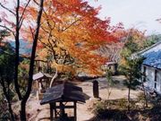 平井大師山石仏群の写真1