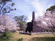 石井樋公園の桜の写真1
