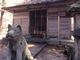 犬の宮の写真3