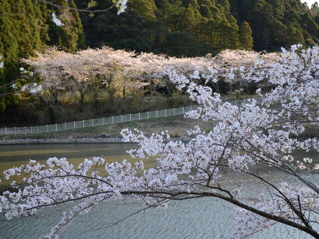洞庭湖の写真1