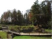 坂井市海浜自然公園バーベキュー広場の写真1