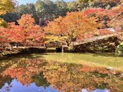 円通寺の紅葉の写真1